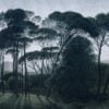 Tapeta Dekorami - Italian Pines - obrazek 7