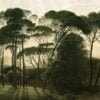 Tapeta Dekorami - Italian Pines - obrazek 4