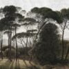 Tapeta Dekorami - Italian Pines - obrazek 2